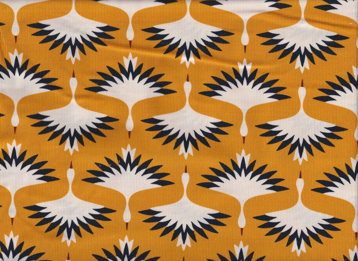 A Walk Remembered - Swooping Cranes