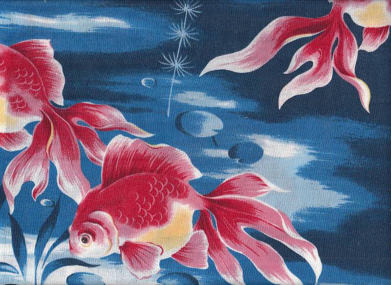 Goldfische groß