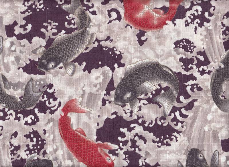 Koi