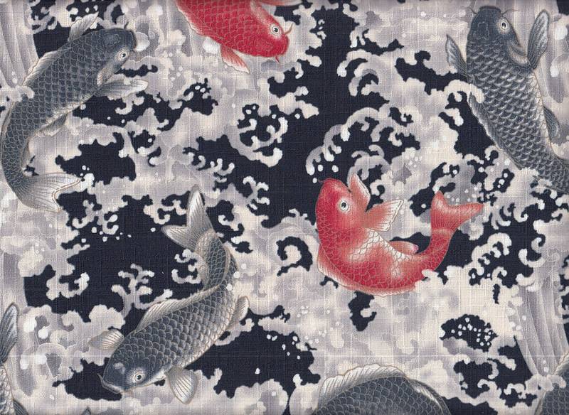 Koi