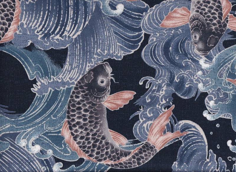 Koi blau