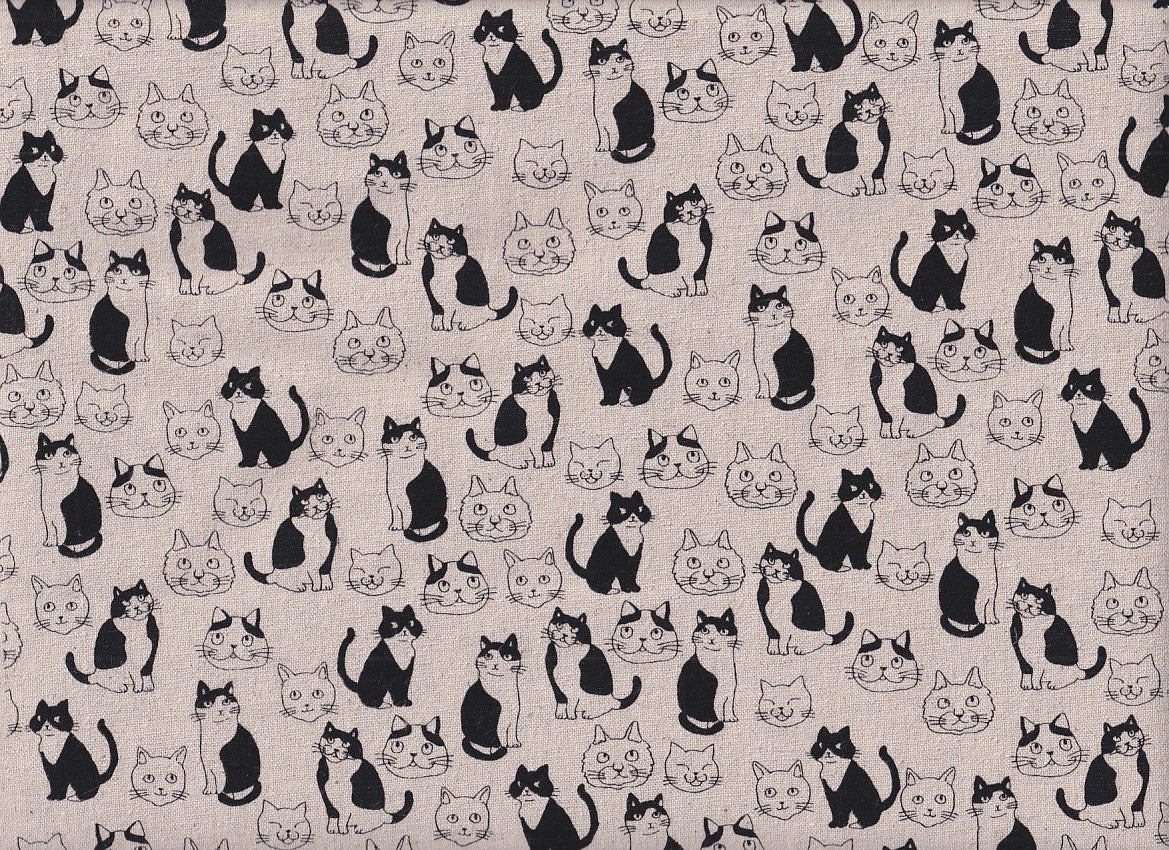 Katzen & Köpfe natur