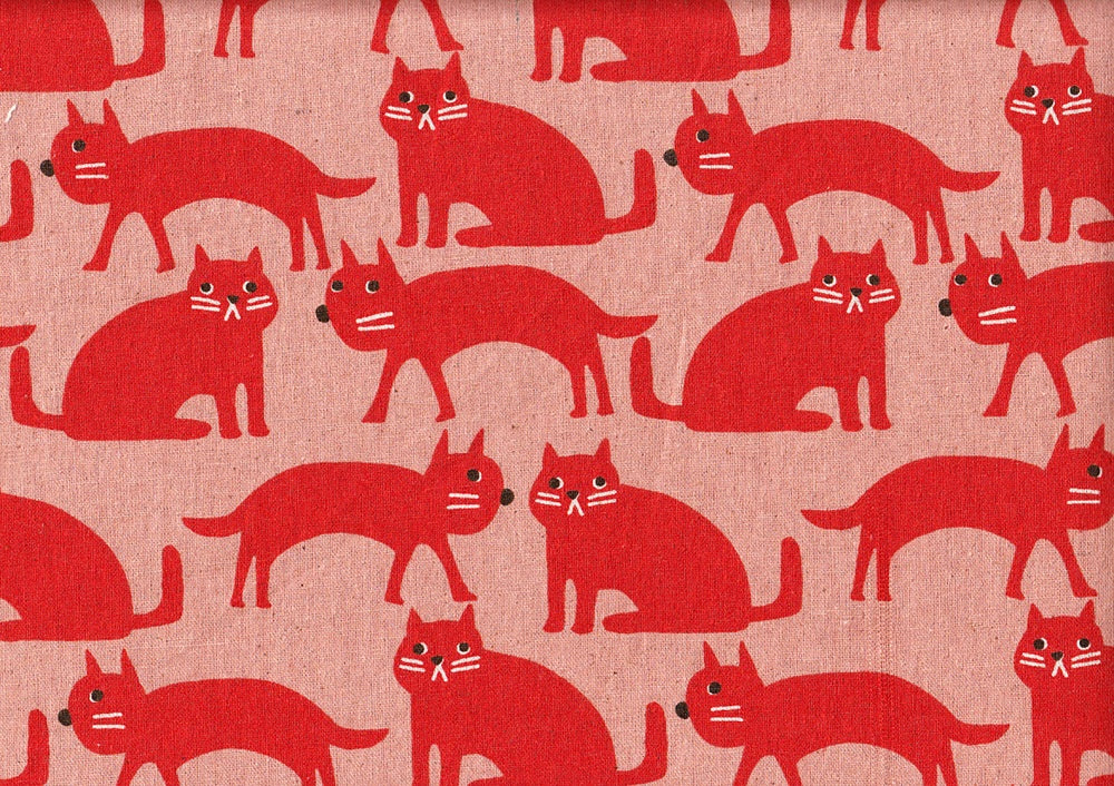 Honobono Cats