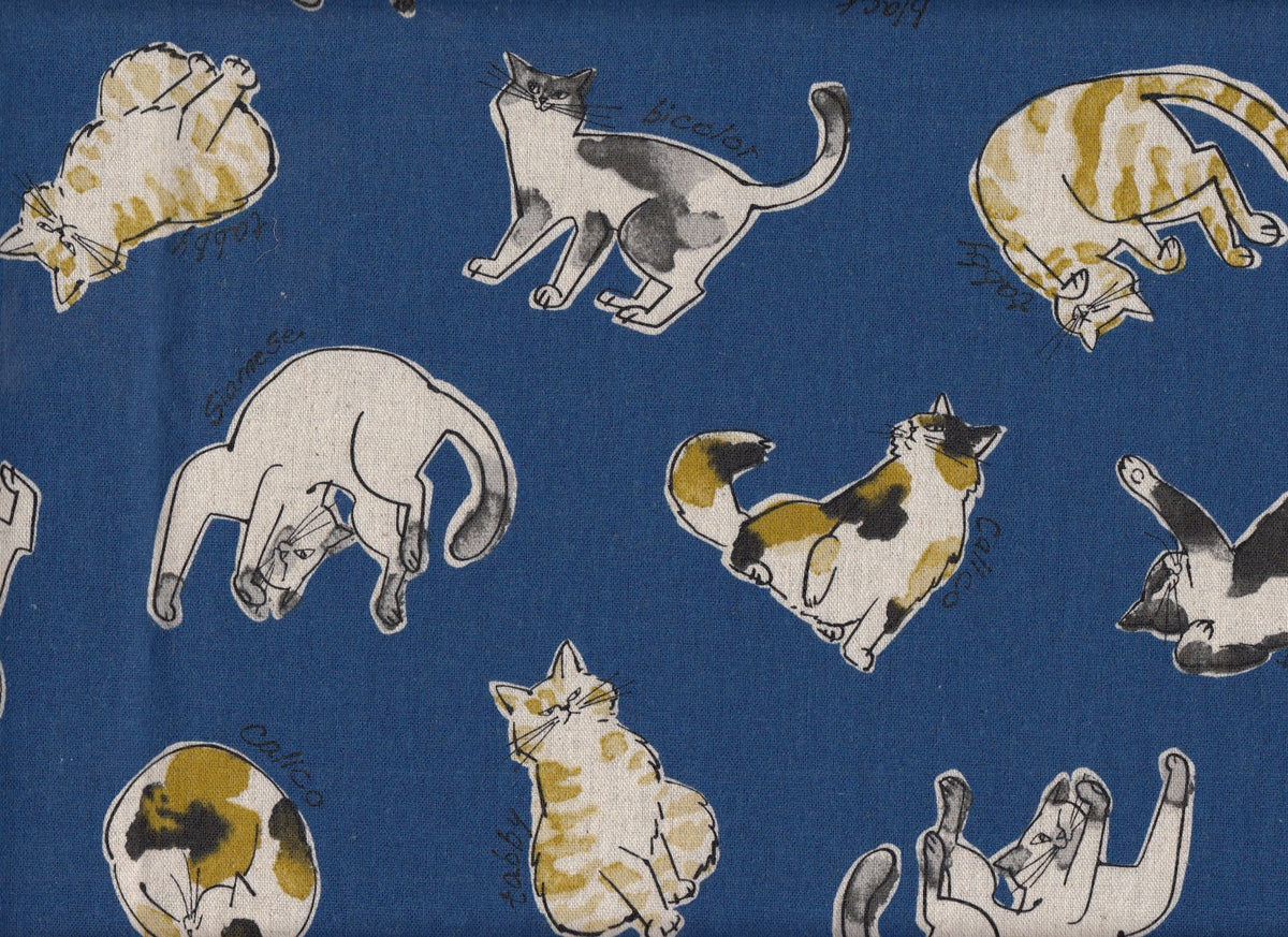 Katzen
