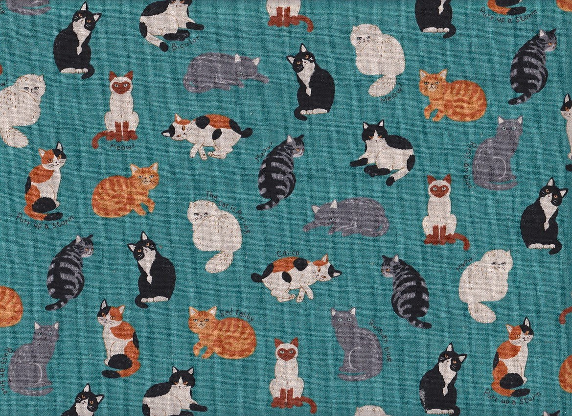 Katzen