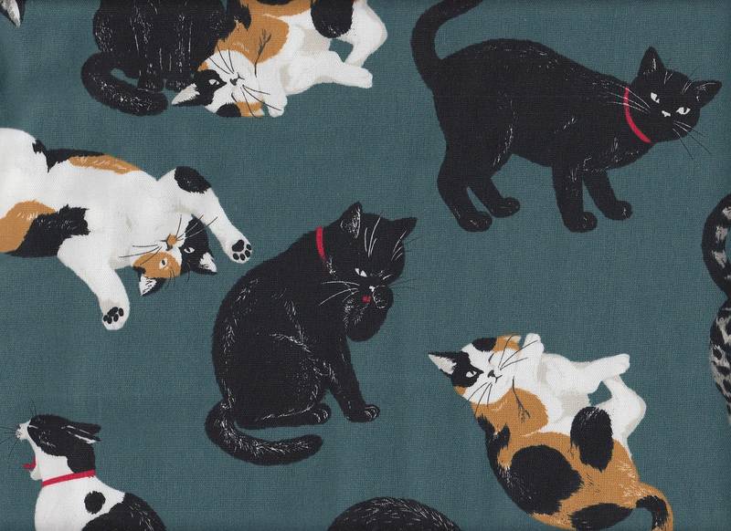 Wachstuch Katzen türkis