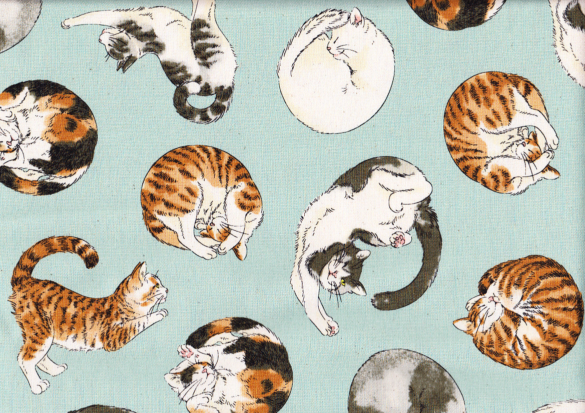 Resting Cats