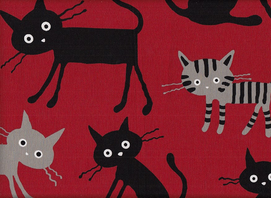 Katze Mäx