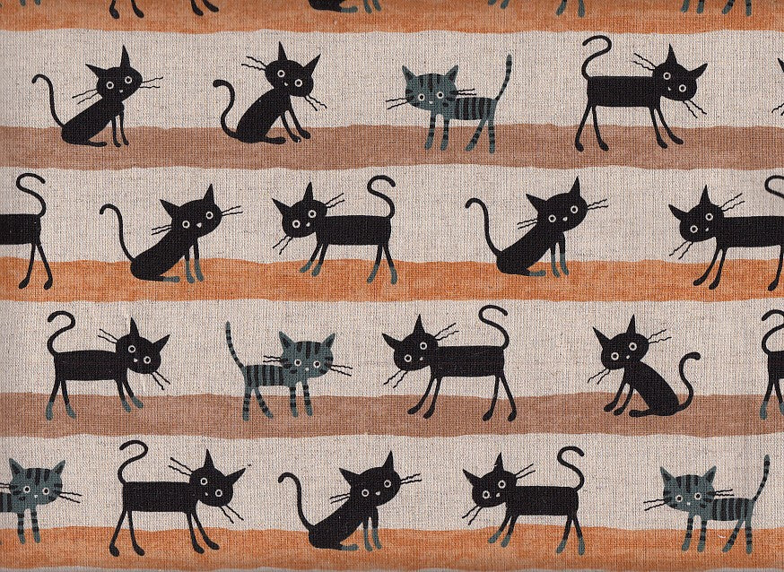 Katze Moritz