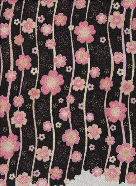 Sakura schwarz