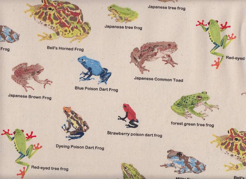 Amphibians Encyclopedia natur