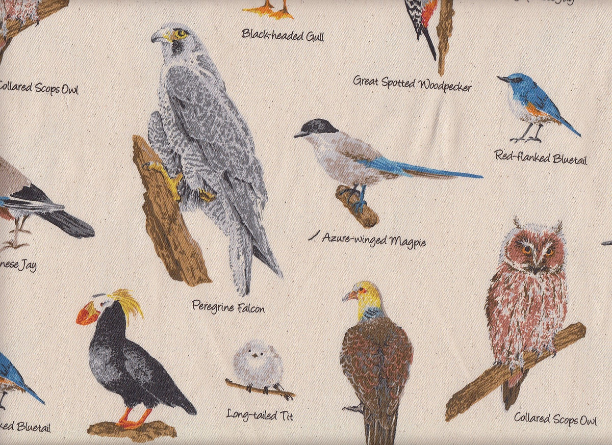 Wachstuch Bird Encyclopedia natur