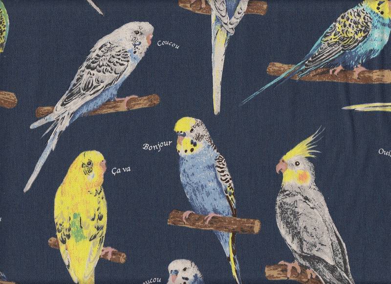 Parakeet