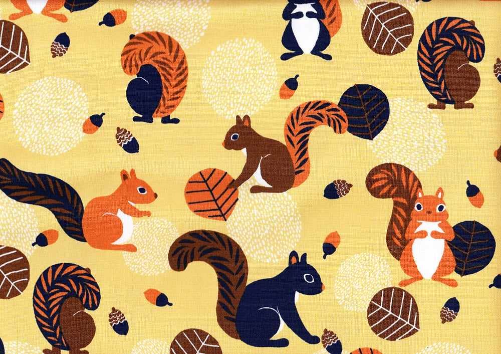 Eichhörnchen