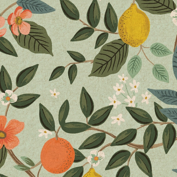 Cotton & Steel Bramble - Citrus Grove Canvas