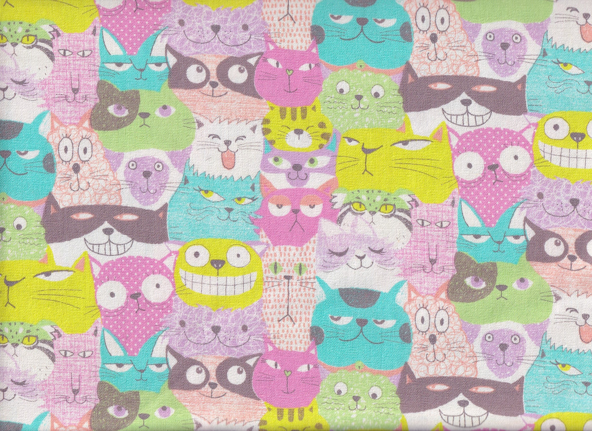 Tume - Katzen