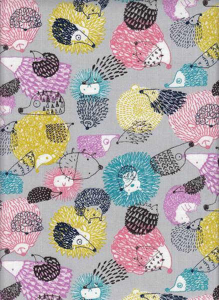Igel bunt