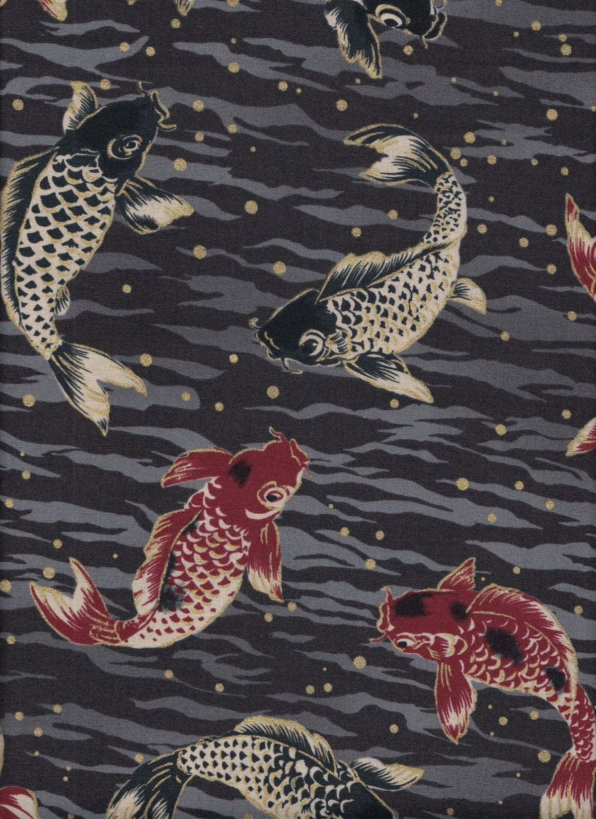 Koi Karpfen