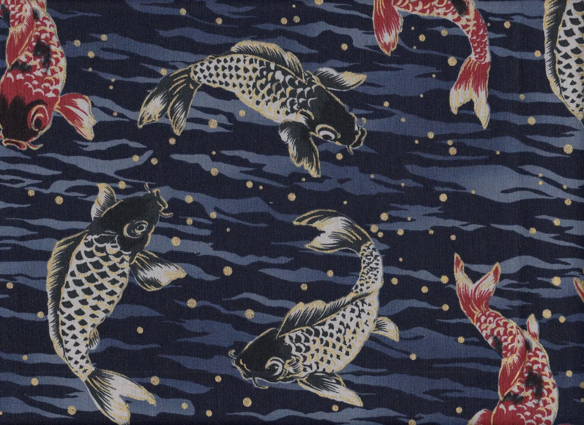 Koi Karpfen