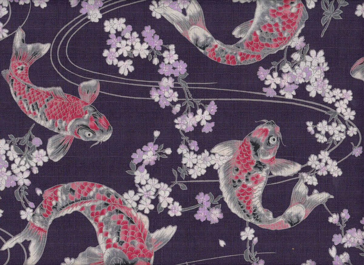 Koi & Sakura