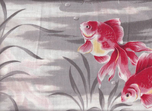 Goldfische groß