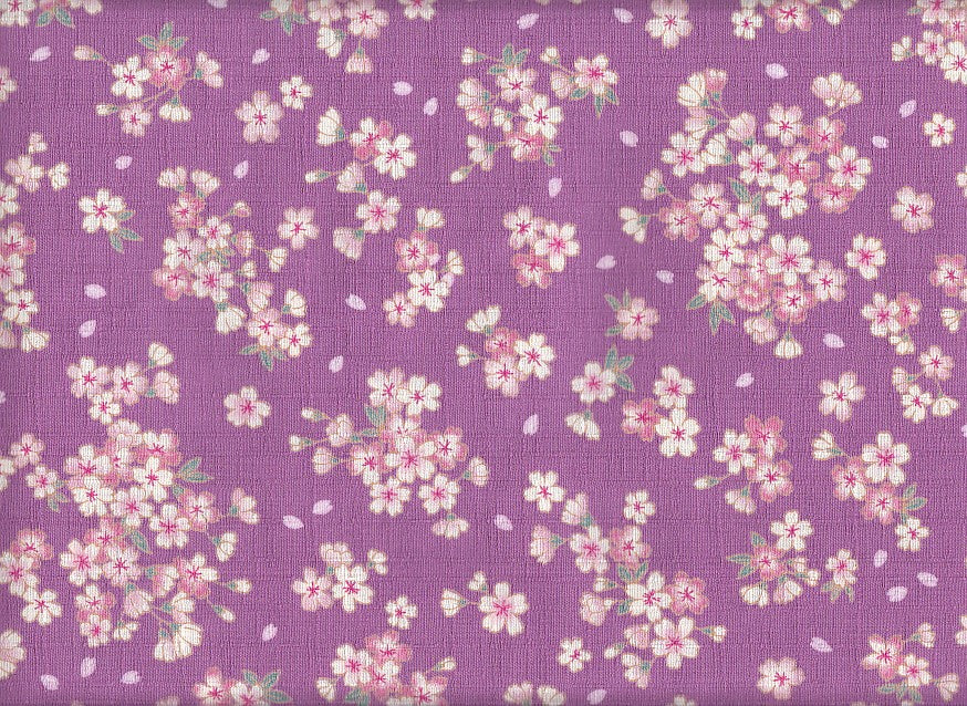 Kirschblüten