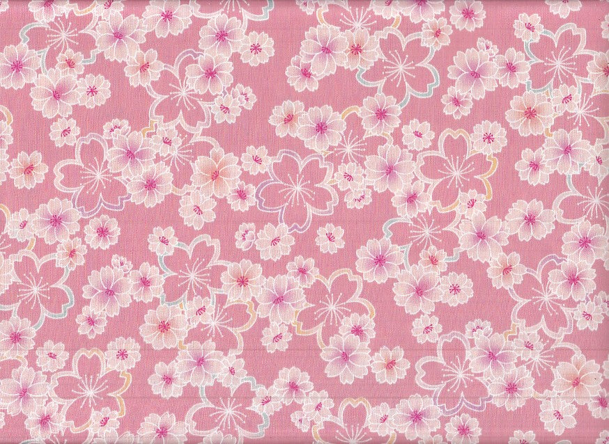 Sakura
