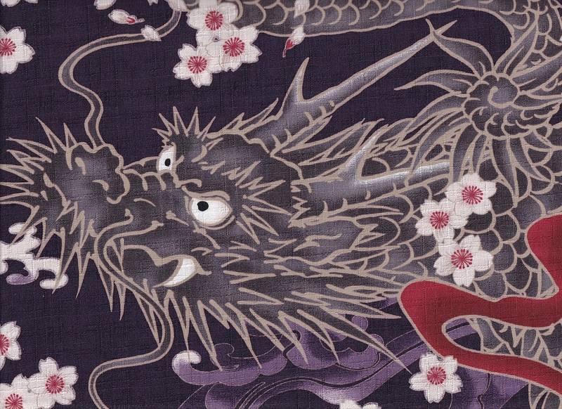 Drache & Sakura groß violett