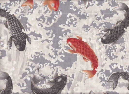 Koi