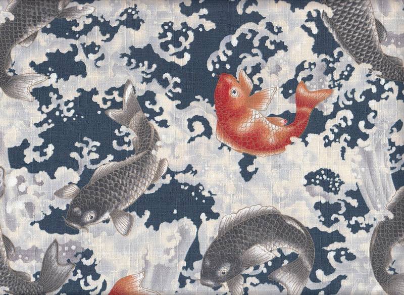 Koi