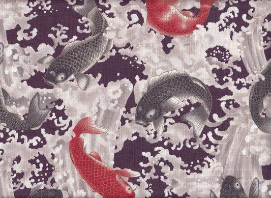 Koi