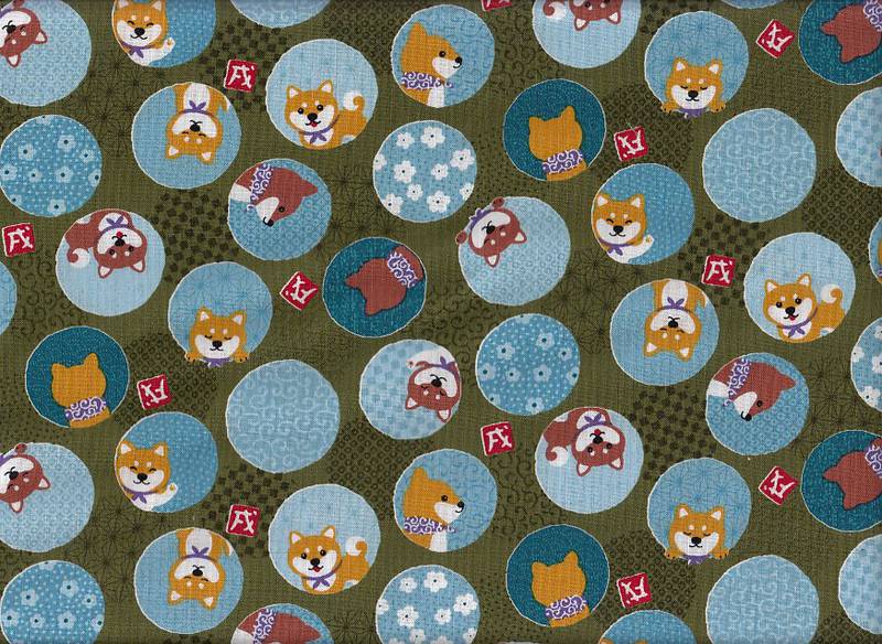 Shiba Inu grün