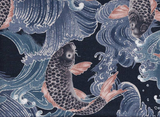 Koi blau