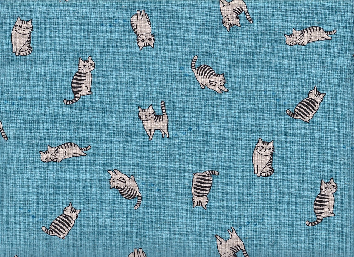 Katze Fabius