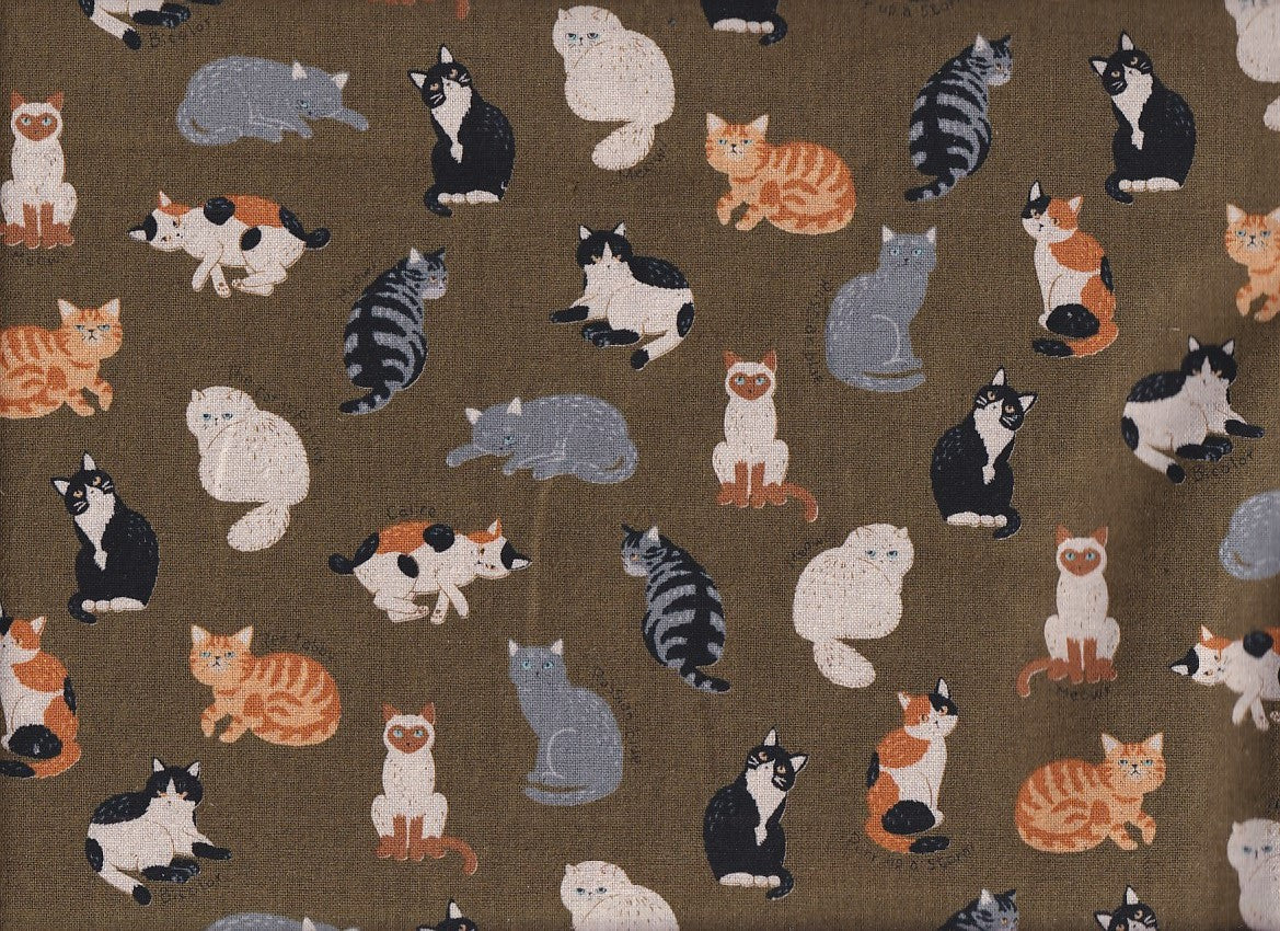 Katzen