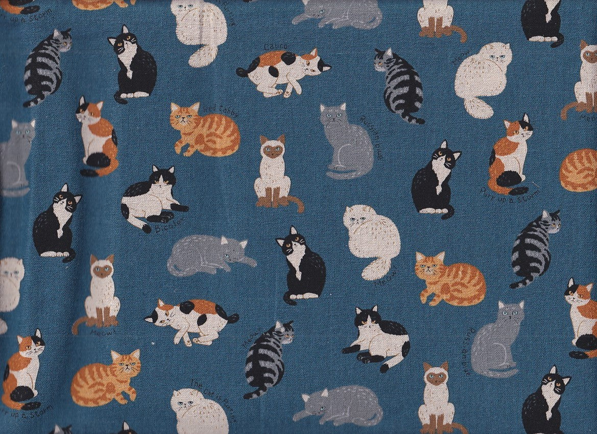 Katzen