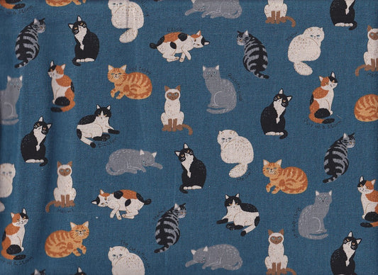 Katzen