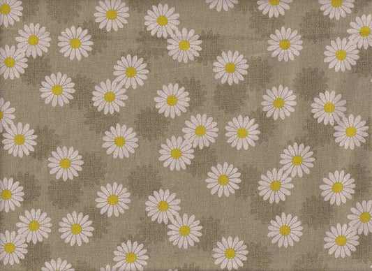 Daisy