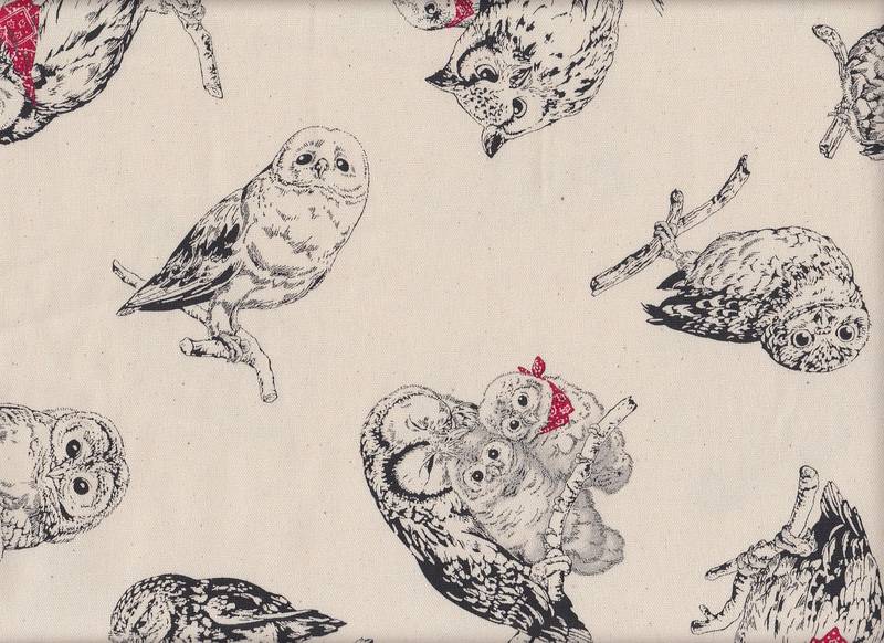 Owl