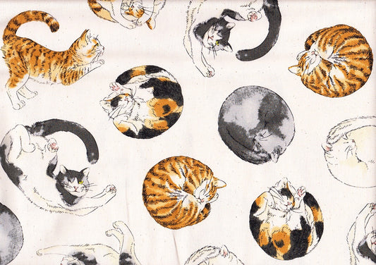 Resting Cats