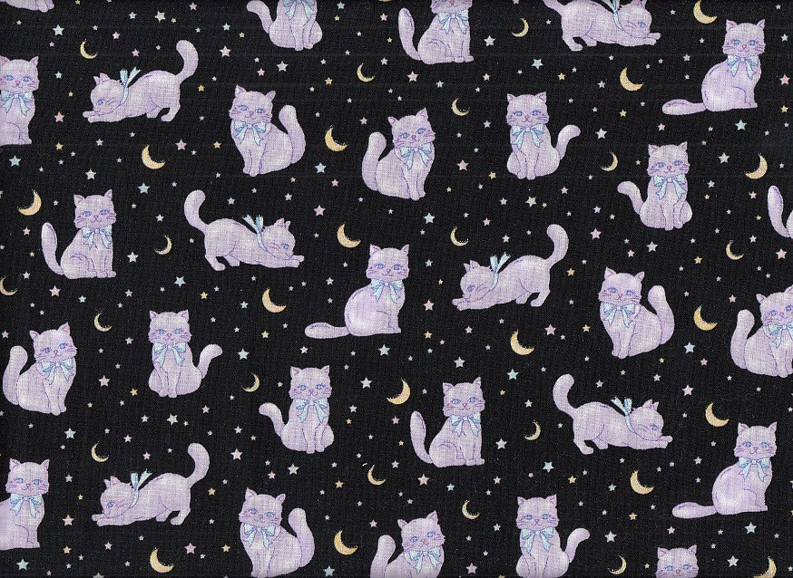 Katzen schwarz