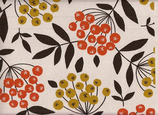 Forest nut flower