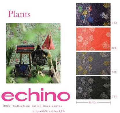 Echino Plants