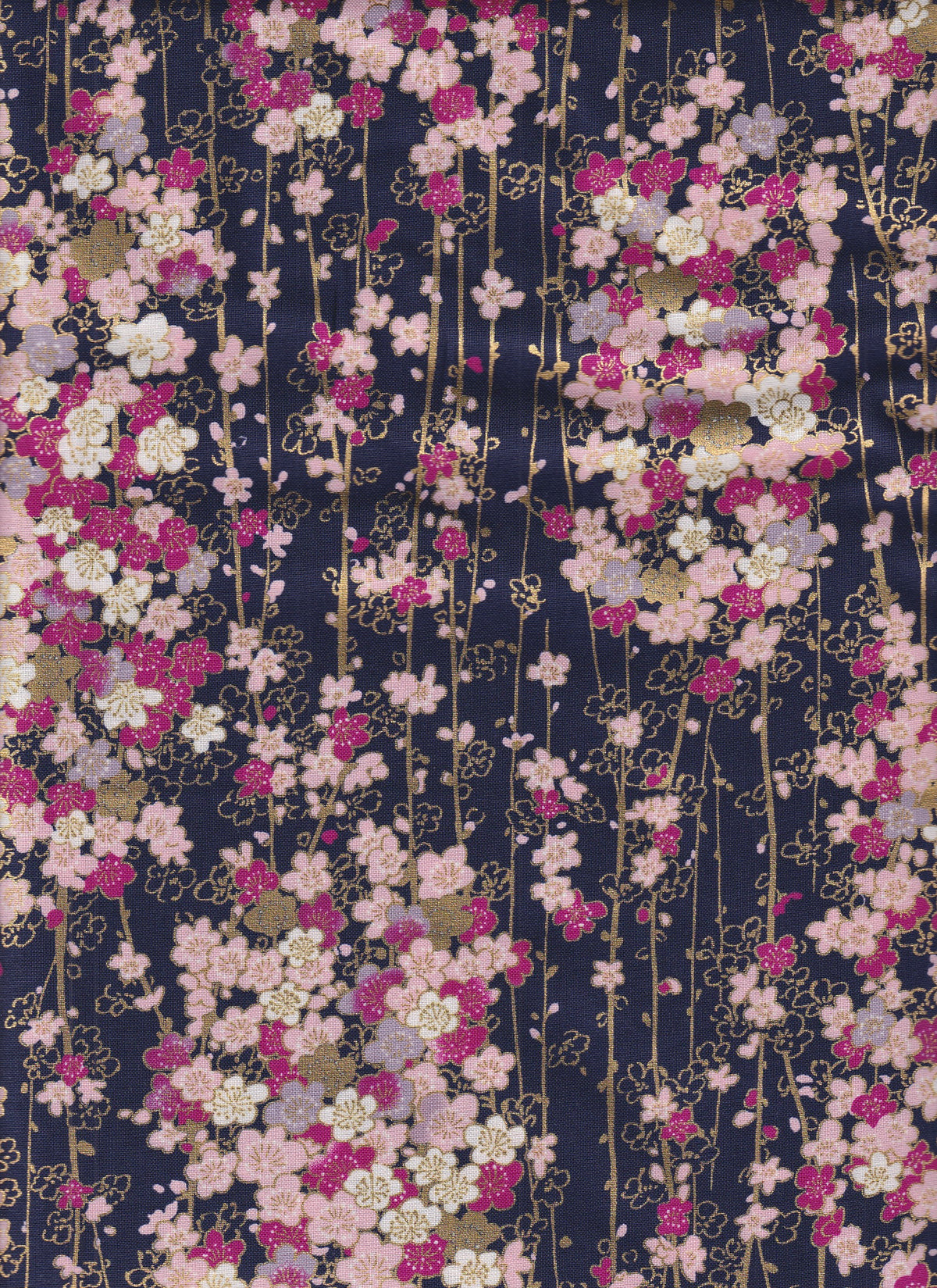 Modern - Ume