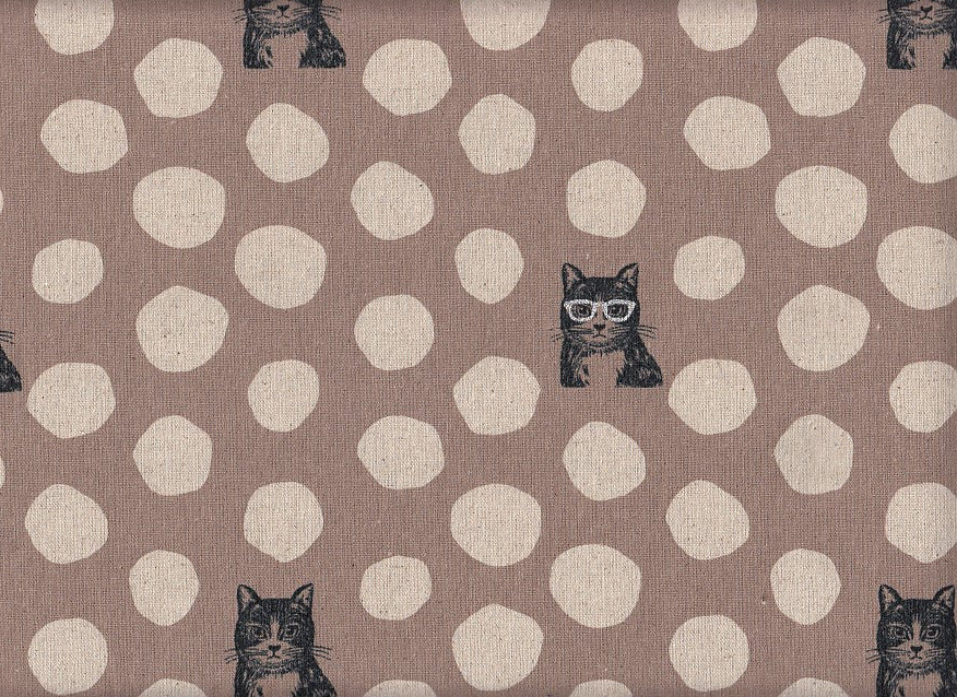 Echino Cat
