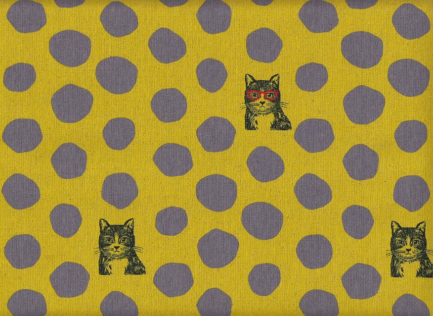 Echino Cat