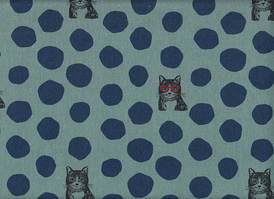Echino Cat
