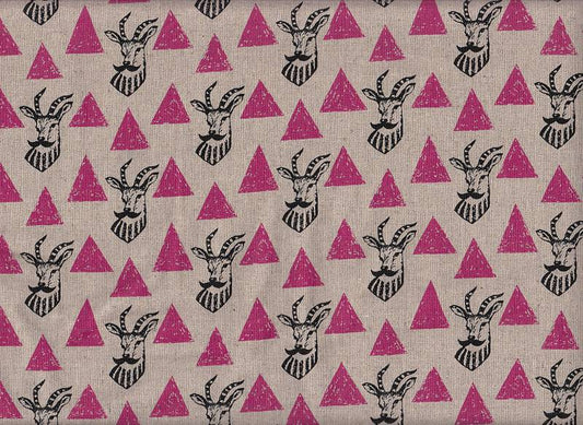 Echino Impala