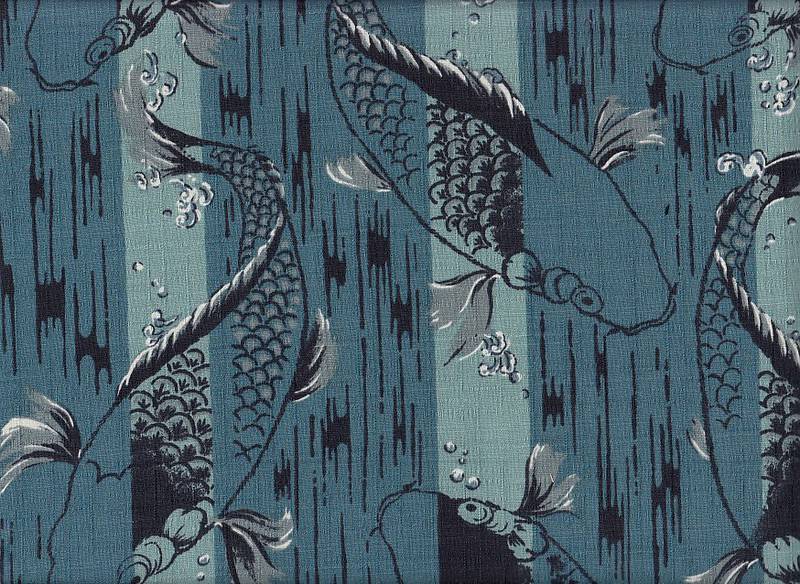 Koi groß blau