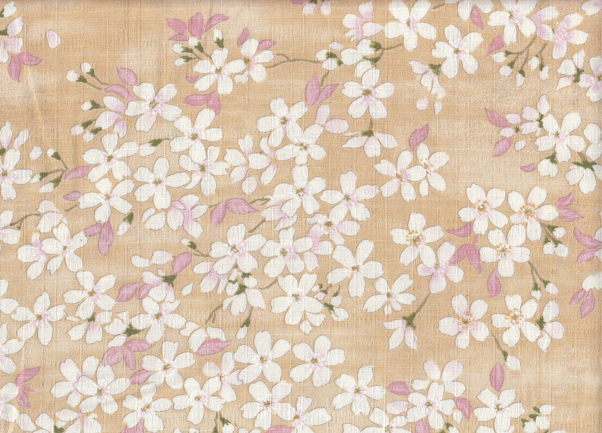 Sakura